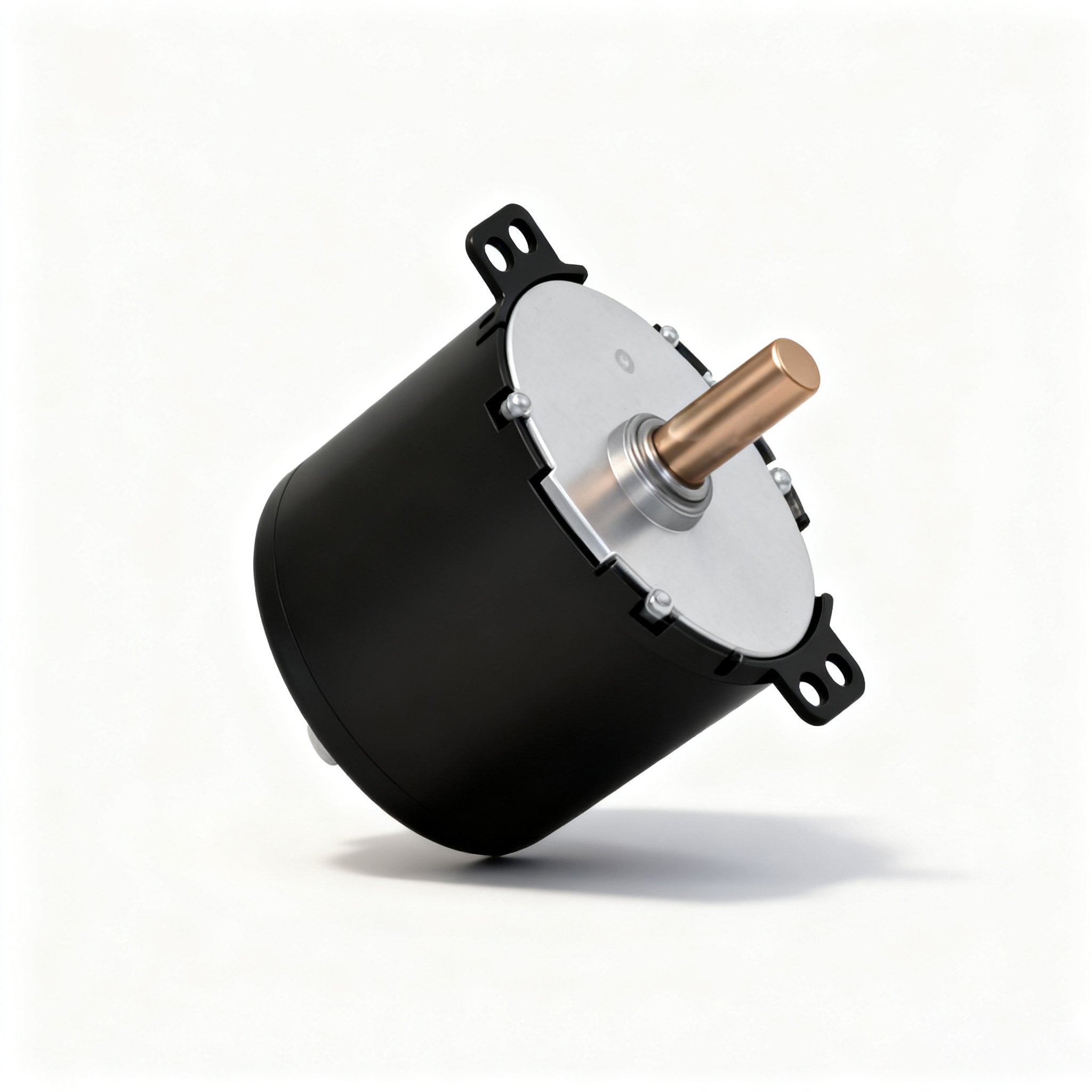 Φ50 交流同步电机